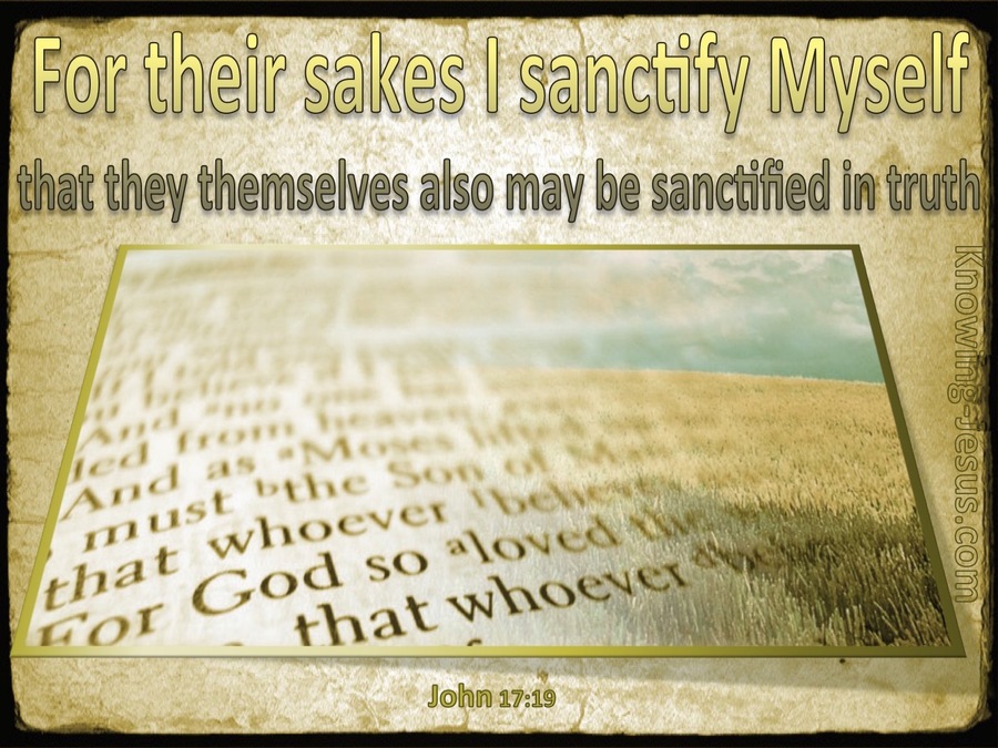 John 17:19 For Their Sakes I Sanctify Myself (gold)